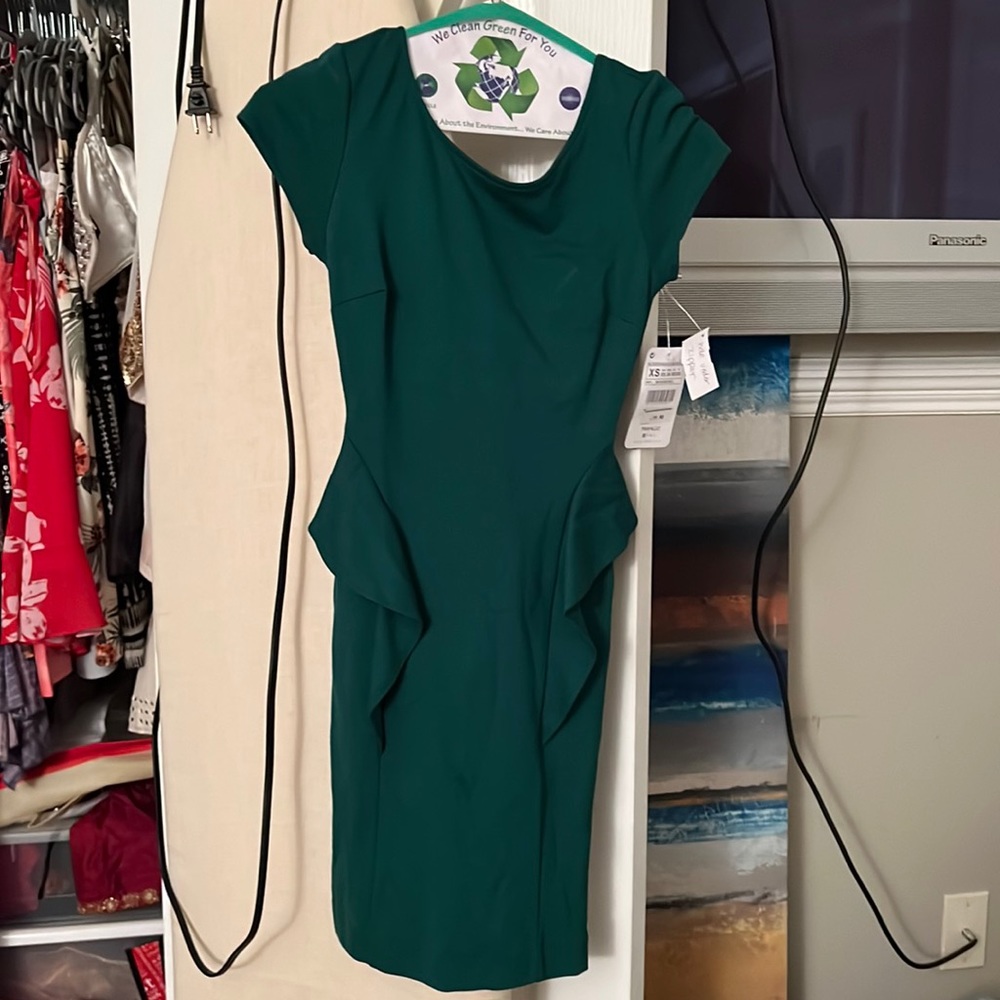 Zara dress